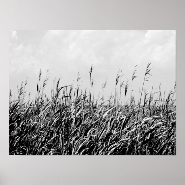 Dune Triptych III Poster (Front)