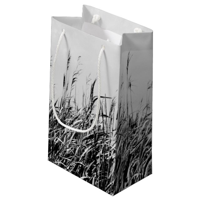 Dune Triptych III Small Gift Bag (Back Angled)
