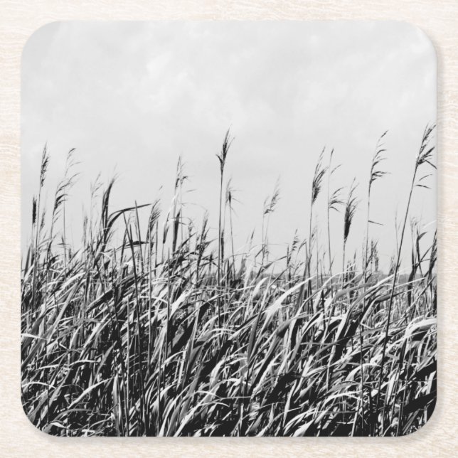 Dune Triptych III Square Paper Coaster (Front)