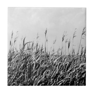Dune Triptych III Tile