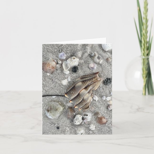 Dunedin Beach Florida Note Card (Front)