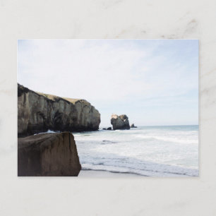 Dunedin beach postcard