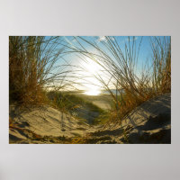 Dünengras und Meer -