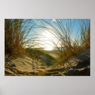 Dünengras und Meer - Poster