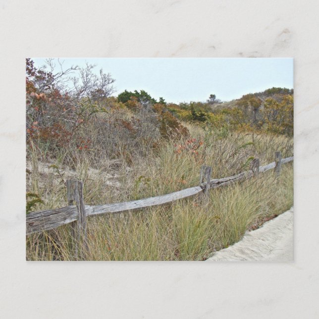 Dunes and Fence Island Beach State Park Postcard (Front)