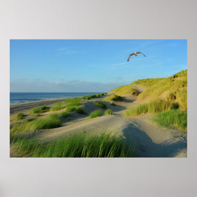 Dunes by the North Sea Poster (Front)