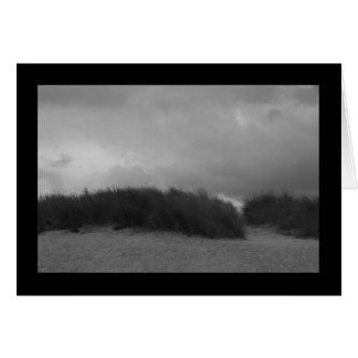 Dunes in black and white