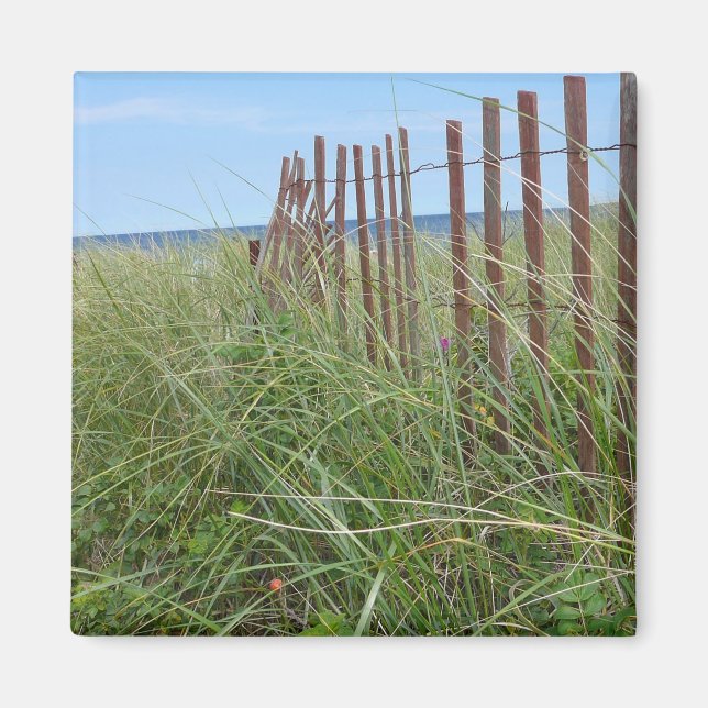Dunes of Cape Cod Magnet (Front)