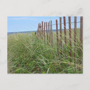 Dunes of Cape Cod Postcard