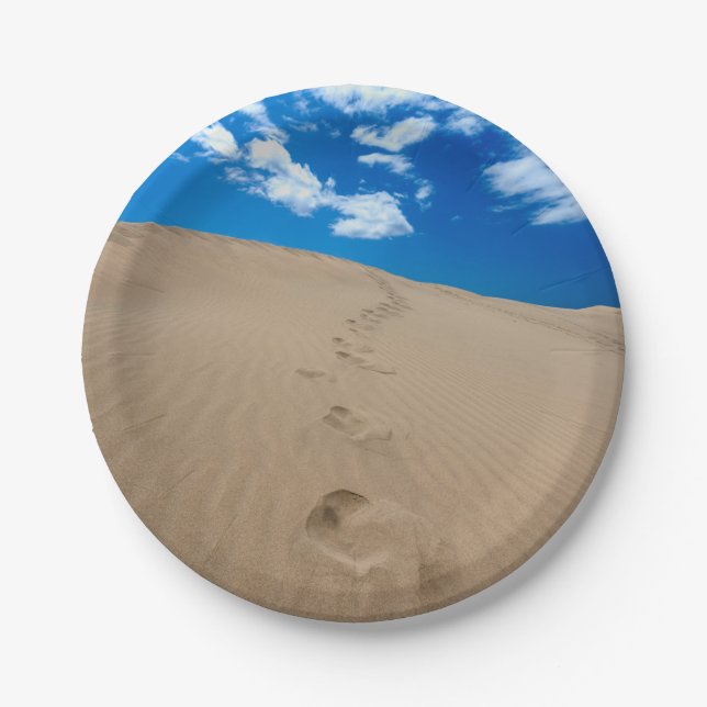 Dunes of Gran Canaria Paper Plate (Front)