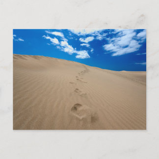 Dunes of Gran Canaria Postcard