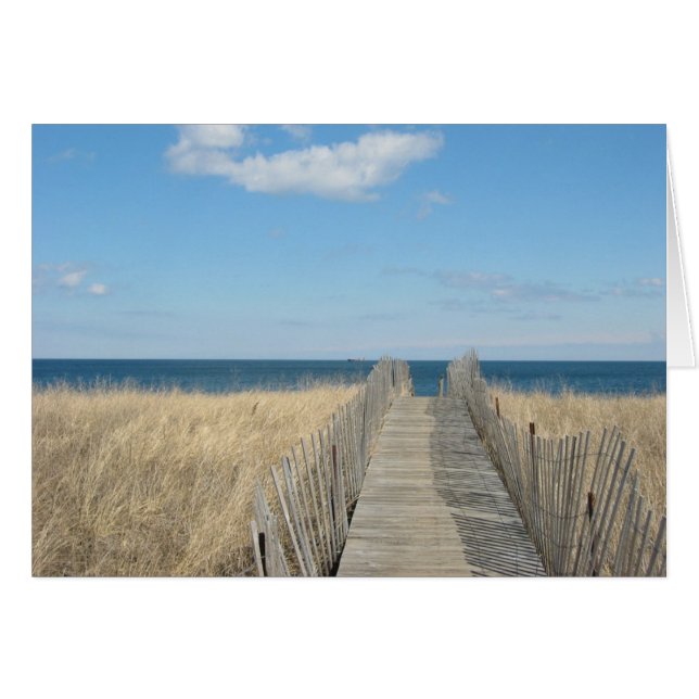 Dunes of the Cape (Front Horizontal)