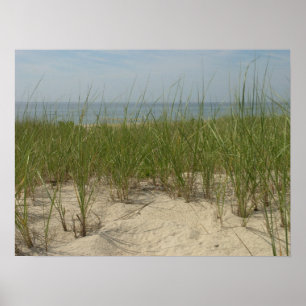 Dunes Poster