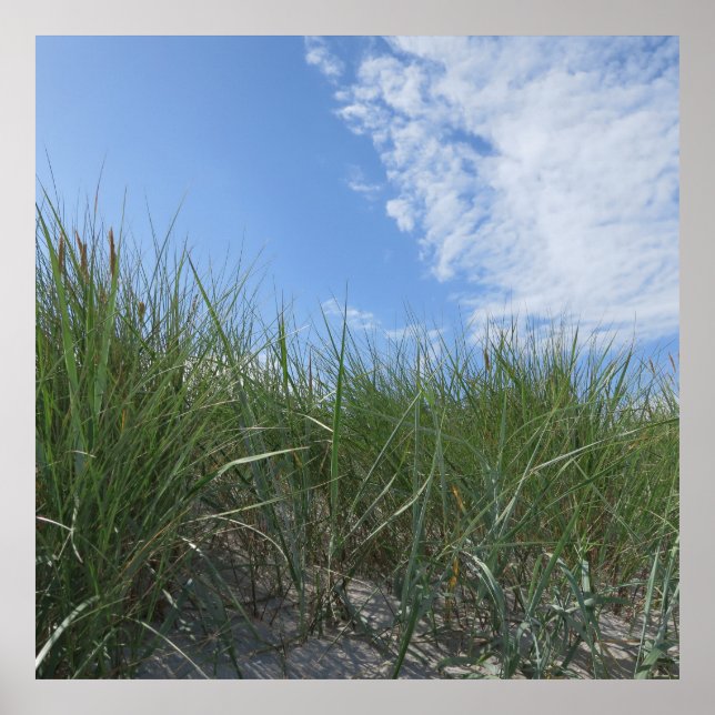 dunes, sand poster (Front)