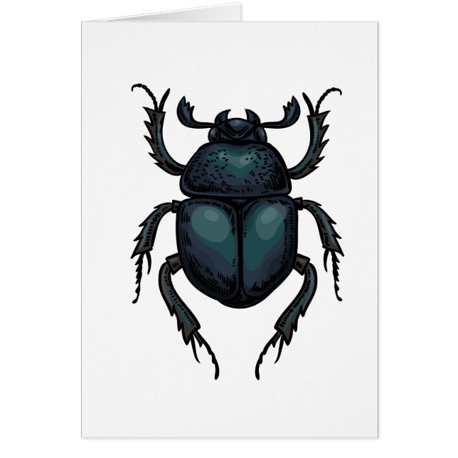 Dung beetle (Front)