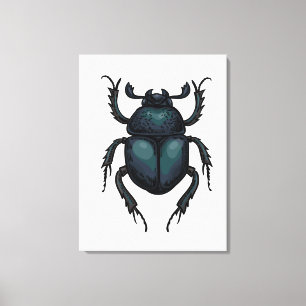 Dung beetle canvas print