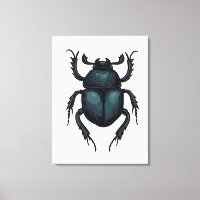Dung beetle