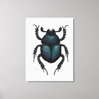 Dung beetle