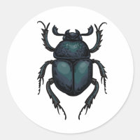 Dung beetle