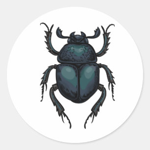 Dung beetle classic round sticker