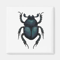 Dung beetle