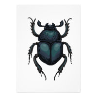 Dung beetle