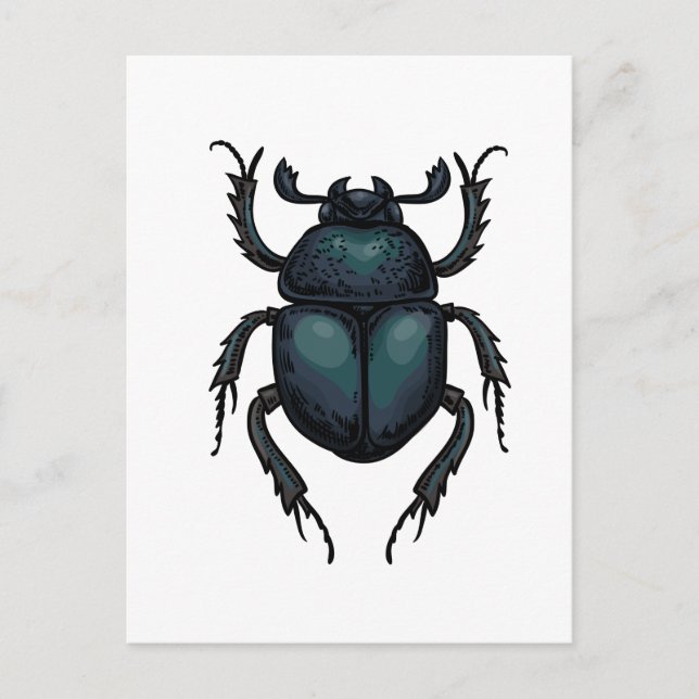 Dung beetle postcard (Front)