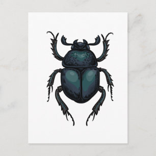 Dung beetle postcard
