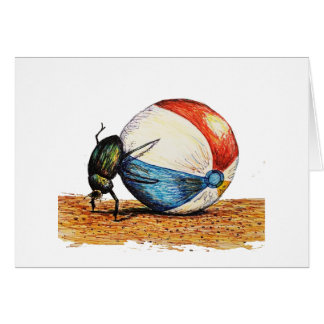 Dung Beetle Vacation