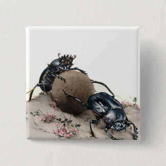 Dung Bettle 15 Cm Square Badge