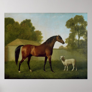 Dungannon, the property of Colonel O'Kelly Poster