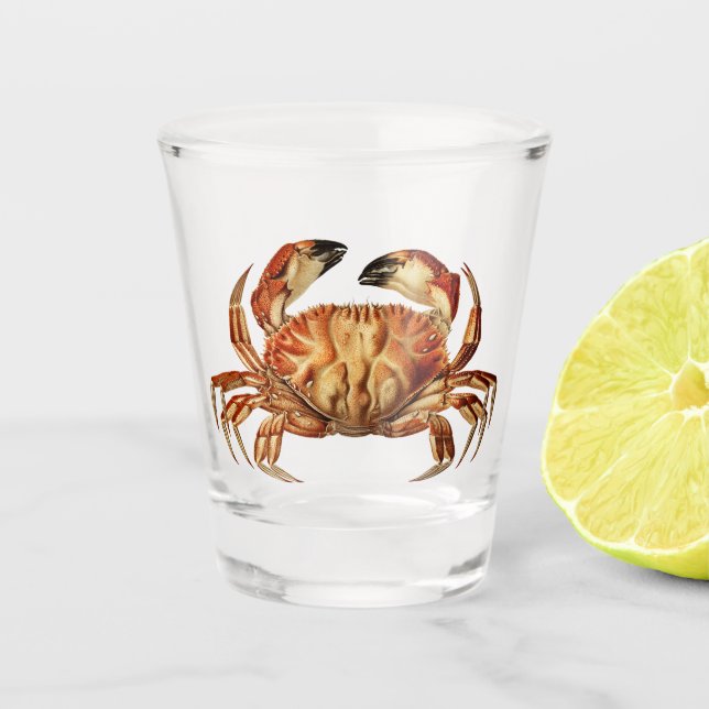 Dungeness Crab - Cancer Bellianis Shot Glass (Front)