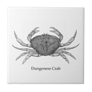 Dungeness Crab Logo (line art) Tile