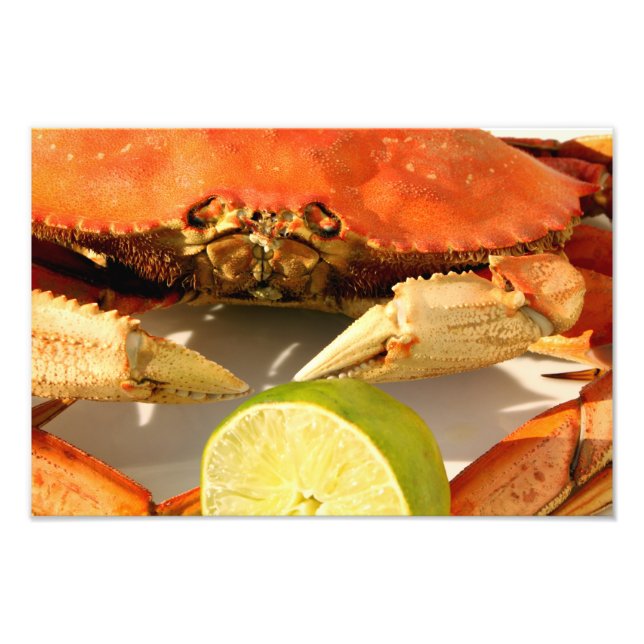 Dungeness Crab Photo Print (Front)