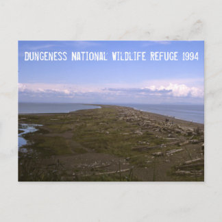 Dungeness National Wildlife Refuge Postcard