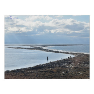 Dungeness Spit from the Lighthouse Poster