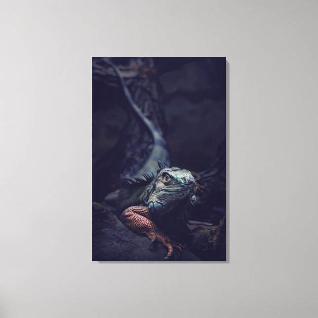 Dungeons And Dragons Canvas Print (Front)
