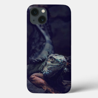 Dungeons And Dragons iPhone 13 Case