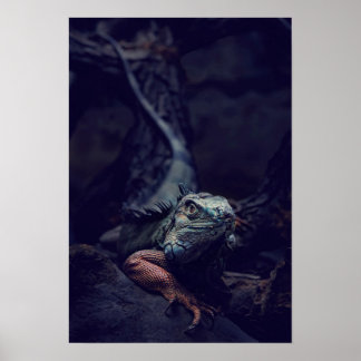 Dungeons And Dragons Poster