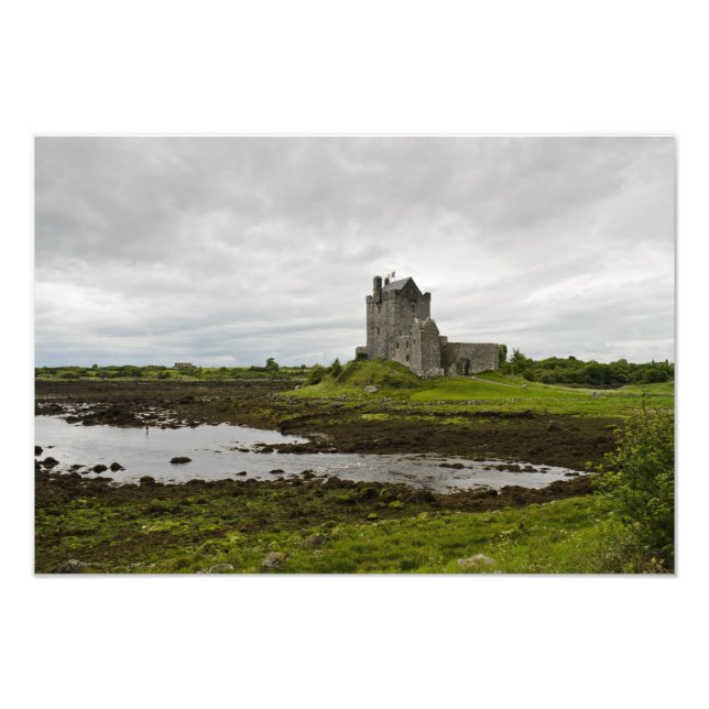 Dunguaire castle, Ireland photo print (Front)