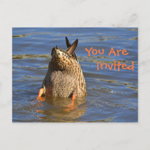 Dunking Duck Invitation Postcard