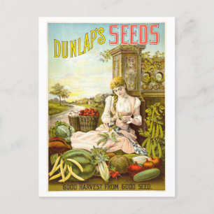 Dunlap's Vintage Vegetable Seed Advertisement Postcard