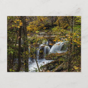 Dunloup Creek Falls   West Virginia Postcard