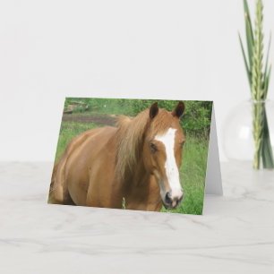 Dunnit Card