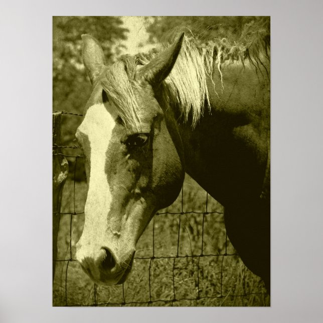 Dunnit in Sepia Tint Poster (Front)