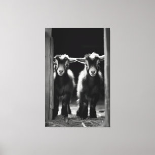  Duo of Monochromatic Baby Goats Standing Together Canvas Print
