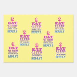 duolingo wrapping paper sheet