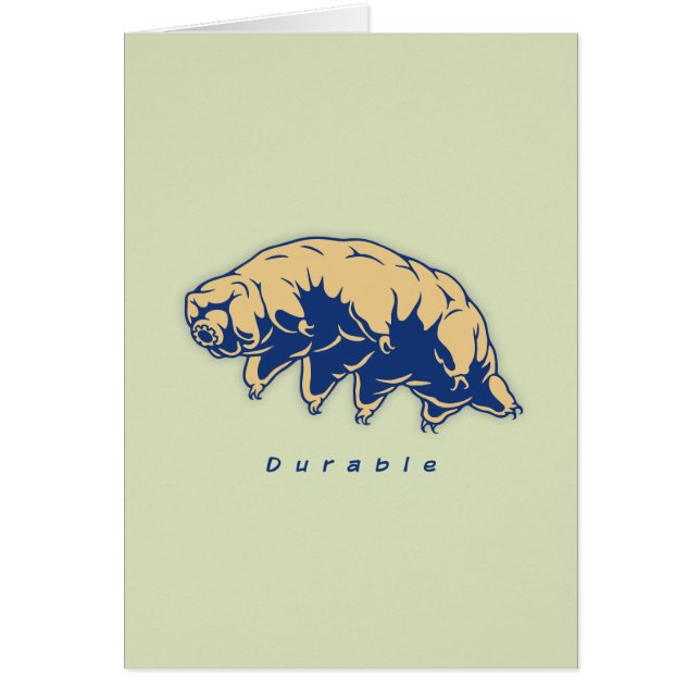 Durable - Tardigrade (Front)