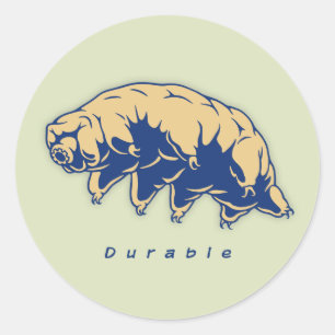 Durable - Tardigrade Classic Round Sticker