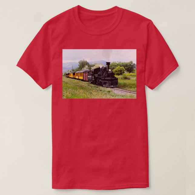 Durango And Silverton Engineer Checks The Track 1 T-Shirt (Design Front)